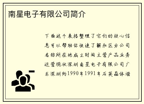 南星电子有限公司简介